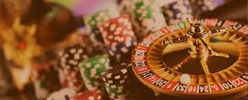 ivibet